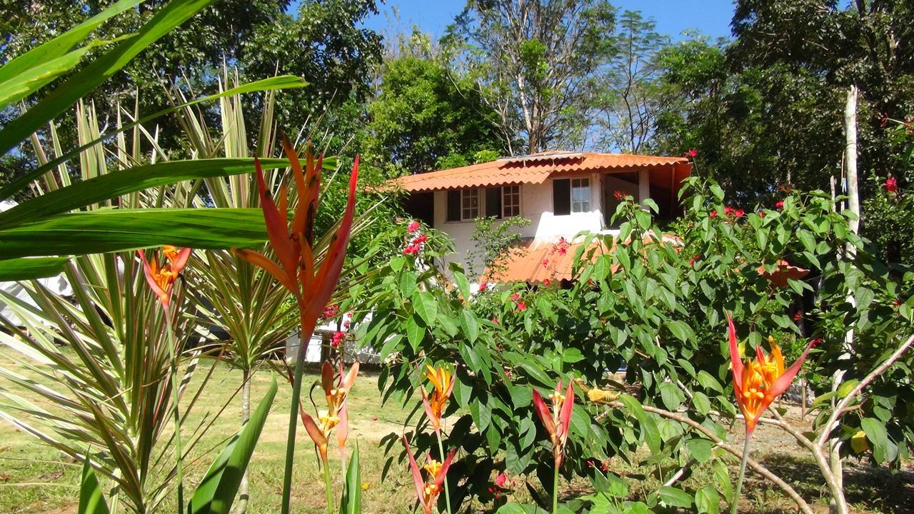 Cebaco Sunrise Lodge Isla Cebaco Exterior photo